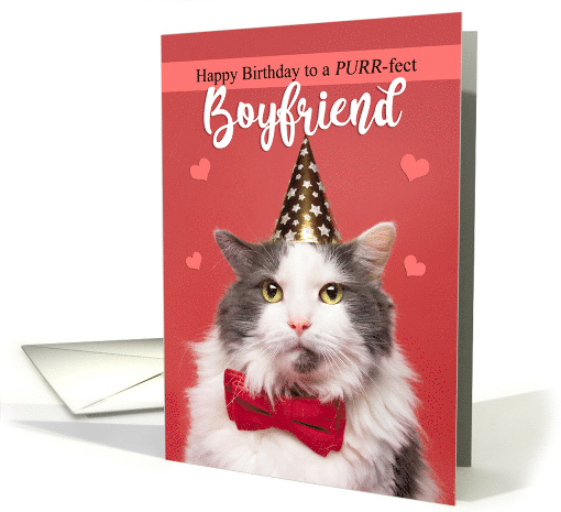 Happy Birthday Boyfriend Cat in Party Hat and Bow Tie Humor card