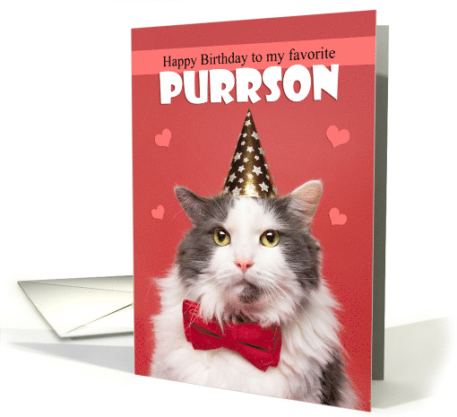 Happy Birthday Favoite PURRson Cat in Party Hat Humor card (1600404)