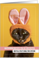 Happy Easter For Anyone Funny Cat Smiling In Bunny Ears Humor card
