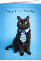 Happy Admin Pro Day...