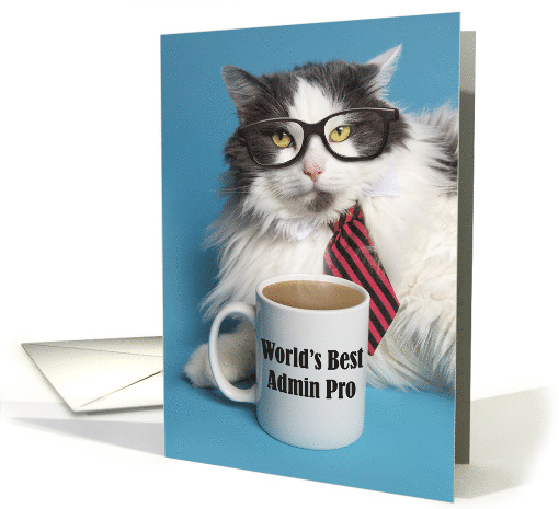 Happy Admin Pro Day Cute Cat in Tie With Coffee Mug Humor card