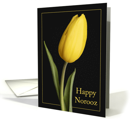 Happy Norooz Persian New Year Pretty Yellow Tulip Photograph card