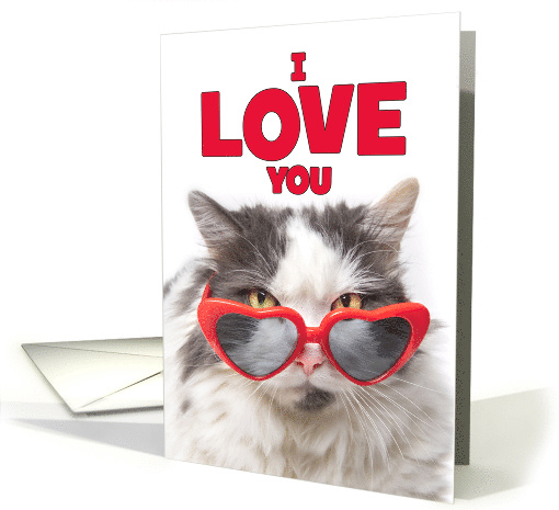 I Love You Romance Cute Cat in Heart Suglasses Humor card (1601310)