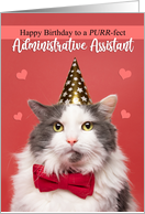 Happy Birthday Administrative Assistant Cute Cat in Party Hat card