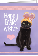 Happy Easter For Anyone Cute Kitty in Bunny Ears Humor card