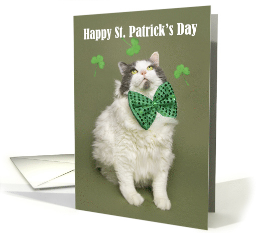 Happy St. Patrick's Day Cute For Anyone Fat Cat in Green... (1602052)