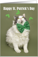 Happy St. Patrick’s Day Cute For Anyone Fat Cat in Green Bow Tie Humor card