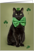 Happy St. Patrick’s Day For Anyone Black Cat card