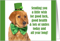 Happy St. Patrick’s Day For Anyone Cute Lab Puppy card