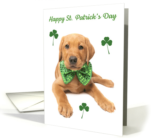 Happy St. Patrick's Day For Anyone Cute Red Fox Lab Puppy card