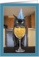 Happy Birthday Spoiled Cat Eating From Wine Glass Humor card