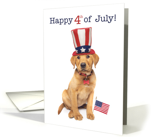 Happy 4th of July Cute Labrador Puppy Humor card (1603262)