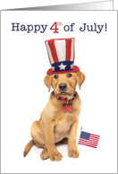 Happy 4th of July Cute Labrador Puppy Humor card