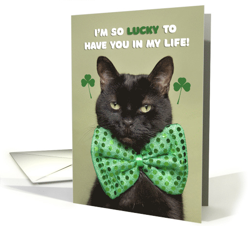 Happy St. Patrick's Day Lucky Black Cat Humor card (1603380)