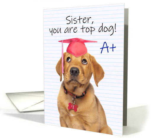 Congratulations Graduate Sister Cute Puppy in Grad Hat Humor card