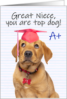 Congratulations Graduate Niece Cute Puppy in Grad Hat Humor card