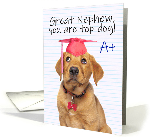 Congratulations Graduate Nephew Cute Puppy in Grad Hat Humor card