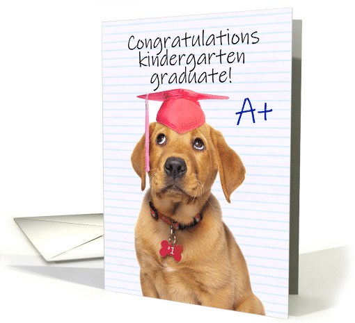 Congratulations Graduate Kindergarten Grad Puppy in Grad... (1603824)
