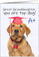 Congratulations Great Granddaughter Cute Grad Puppy in Grad Hat Humor card