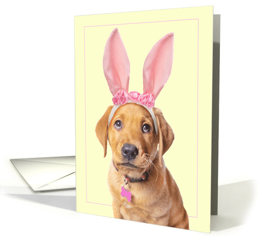 Happy Easter Adorable Labrador Puppy in Bunny Ears Humor card