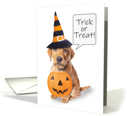 Happy Halloween For Anyone Cute Puppy Trick Or Treating Humor card