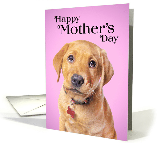 Happy Mother's Day Cute Puppy Humor card (1604034)