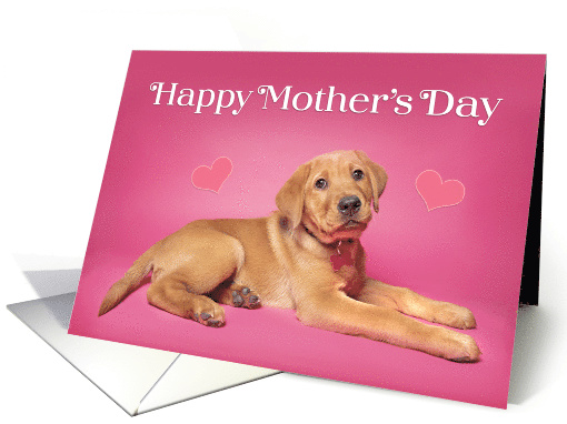 Happy Mother's Day Cute Puppy Photo on Pink card (1604036)