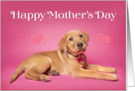 Happy Mother’s Day Cute Puppy Photo on Pink card