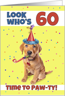 Happy 60th Birthday Cute Puppy in Party Hat Humor card