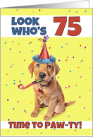 Happy 75th Birthday Cute Puppy in Party Hat Humor card