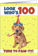 Happy 100th Birthday Cute Puppy in Party Hat Humor card