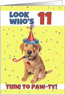 Happy 11th Birthday Cute Puppy in Party Hat Humor card