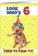 Happy 6th Birthday Cute Puppy in Party Hat Humor card