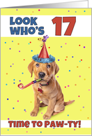 Happy 17th Birthday Cute Puppy in Party Hat Humor card