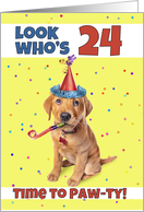 Happy 24th Birthday Cute Puppy in Party Hat Humor card
