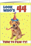 Happy 44th Birthday Cute Puppy in Party Hat Humor card