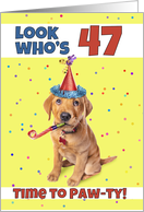 Happy 47th Birthday Cute Puppy in Party Hat Humor card