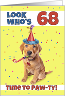 Happy 68th Birthday Cute Puppy in Party Hat Humor card