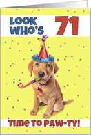 Happy 71st Birthday Cute Puppy in Party Hat Humor card