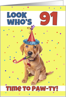 Happy 91st Birthday Cute Puppy in Party Hat Humor card