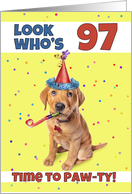 Happy 97th Birthday Cute Puppy in Party Hat Humor card