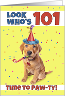 Happy 101th Birthday Cute Puppy in Party Hat Humor card