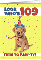 Happy 109th Birthday Cute Puppy in Party Hat Humor card