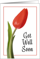 Get Well Soon For Anyone Pretty Red Tulip card