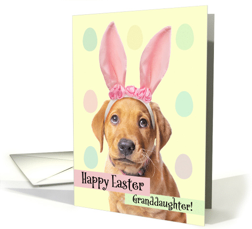 Happy Easter Granddaughter Cute Puppy in Bunny Ears card (1606640)