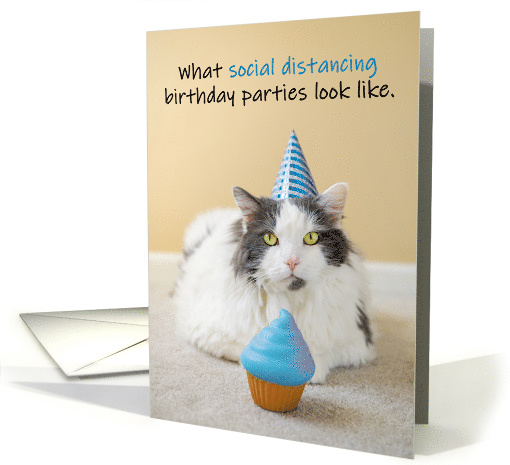 Happy Birthday For Anyone Social Distancing Coronavirus Cat Humor card