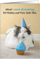 Happy Birthday For Anyone Social Distancing Coronavirus Cat Humor card