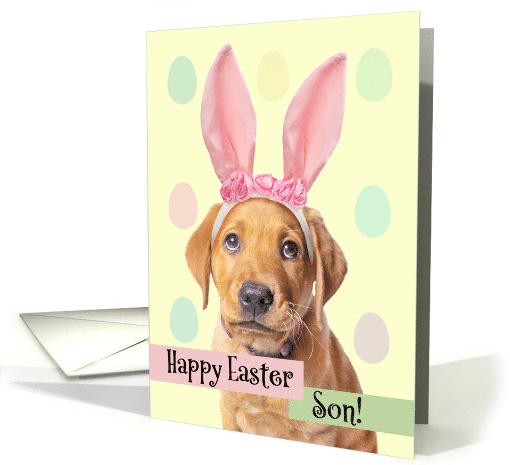 Happy Easter Son Cute Puppy in Bunny Ears Humor card (1607106)