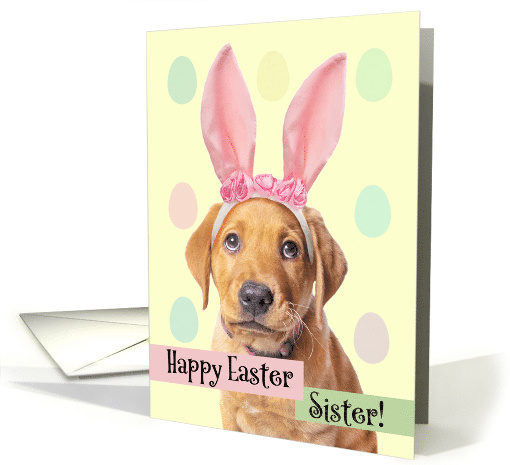 Happy Easter Sister Cute Puppy in Bunny Ears Humor card (1607108)