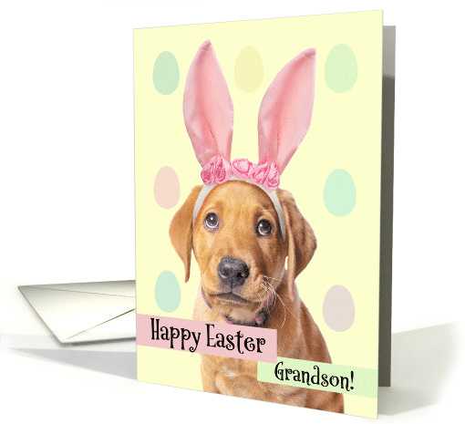 Happy Easter Grandson Cute Puppy in Bunny Ears Humor card (1607114)